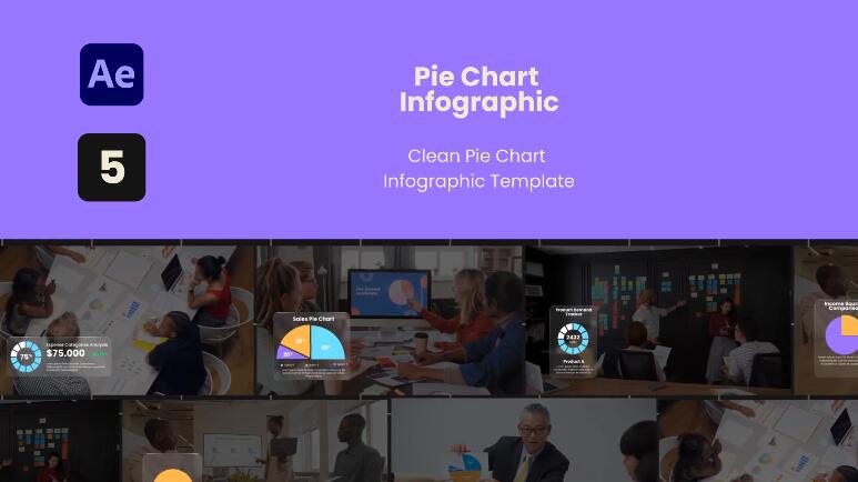 饼状图表信息数据可视化模板视频素材